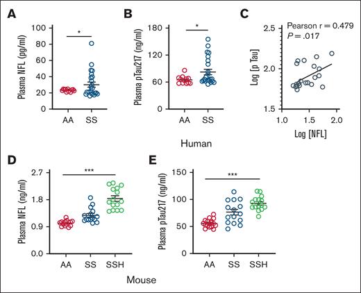 Association of hemolytic biomarkers with elevated circulating NFL and pTau in SCD. Biorepository steady state plasma samples were analyzed for hemolytic and neurocognitive biomarkers using enzyme-linked immunosorbent or colorimetric assays following manufacturer’s instructions. (A) Level of plasma NFL is elevated in patients with SCD (SS) compared to age-matched nonsickle (AA) individuals (AA, n = 12; SS, n = 24). (B) Level of plasma pTau217 is also elevated in patients with SCD (SS) as compared to AA individuals. (C) Association of plasma NFL and pTau217 in individuals with SCD (n = 24) in logarithmic scale. (D-E) Plasma NFL and pTau217 in AA and SS mice (n = 15; M, 6; F, 9) at baseline and following heme challenge in SS mice (SSH; n = 15; M, 6; F, 9). Unpaired t test for panels A-B; 1-way analysis of variance (ANOVA) for panels D-E. ∗P < .05, ∗∗∗P < .001. F, female mice; M, male mice.
