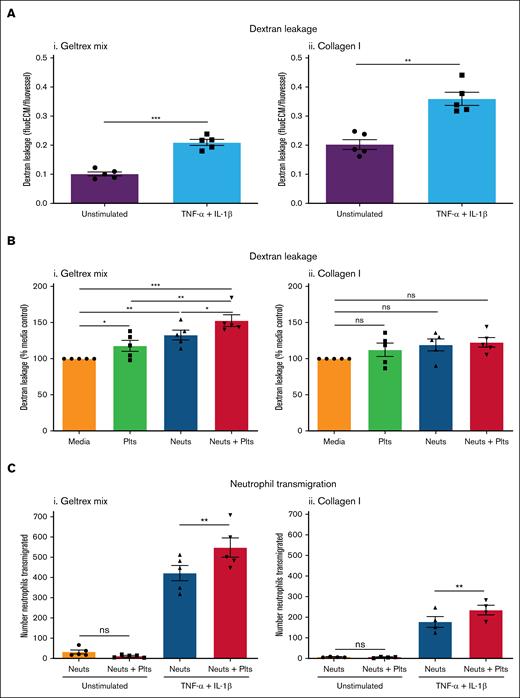 Platelets promote inflammation in inflamed vessels. (A) Vessel permeability increases during inflammation. Vessels were cultured against Geltrex mix (i) or collagen I (ii) for 1 week and then stimulated overnight with 10 ng/mL TNF-α + 10 ng/mL IL-1β. FITC-dextran (250 kDa) was added for 45 minutes and then fluorescence imaged on an EVOS M5000. Dextran leakage was calculated by dividing the fluorescence in the ECM channel by the fluorescence in the vessel channel. (B) Platelets and neutrophils enhance permeability in inflamed Geltrex mix vessels. Plts and neuts were isolated from human blood and resuspended in EGM-FCS. They were then perfused through the vessels for 1.5 hours. FITC-dextran (250 kDa) was added as described in panel A. Dextran leakage was normalized to the media only control. (C) Platelets enhance neutrophil transmigration. Vessels were fixed, blocked, and stained with Hoechst-33342 and α-CD31. Z-stacks were taken on a Leica SP5 confocal microscope. Number of neutrophils transmigrated was analyzed using the Cell Counter plug in in FIJI. N = 5 independent experiments/blood donors (N = 4 in panel Cii), n = 2 chips/condition. Mean ± SEM; ∗P < .05, ∗∗P < .01, ∗∗∗P < .001; ns, nonsignificant.