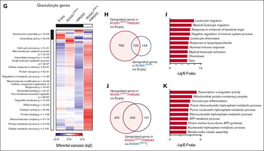 Gene expression profile of the MDS clone with high HMGA2 expression. (A) Principal component analysis (PCA) of RNA-seq data of c-Kit+ BM HSC/Ps obtained from indicated mice. (B) Hierarchical Ordered Partitioning and Collapsing Hybrid (HOPACH)-generated clusters of differentially expressed genes (mean values of each group were used) with statistically enriched Gene Ontology (GO) terms (left) and enriched GO term–associated genes (right) in c-Kit+ BM HSC/Ps obtained from indicated mice. (C-E) GSEA plots showing the ranked genes in RUNX1S291fs/HMGA2 c-Kit+ BM cells relative to cells from Empty mice. (F) PCA of RNA-seq data of Ly6G+ BM granulocytes obtained from indicated mice. (G) HOPACH-generated clusters of differentially expressed genes with statistically enriched GO terms (left) in granulocytes obtained from indicated mice. (H) Genes upregulated in both RUNX1S291fs and RUNX1S291fs/HMGA2 granulocytes relative to cells from Empty mice. (I) GO term enrichment analysis of 120 genes indicated in panel H. The top 10 GO terms for cellular component, biological process, and molecular function categories are shown. (J) Genes upregulated in RUNX1S291fs/HMGA2 granulocytes relative to granulocytes from Empty and RUNX1S291fs mice. (K) GO term enrichment analysis of 402 genes indicated in panel J. Top 10 GO terms for cellular component, biological process, and molecular function categories are shown.