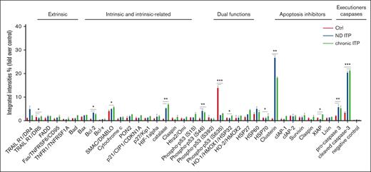 Apoptosis proteomic profiling in healthy controls, and patient with either ND or chronic ITP. Platelets isolated from fresh PRP were analyzed on a human apoptosis antibody array for the presence of apoptotic proteins (extrinsic, intrinsic, intrinsic-related, dual functions, and apoptosis inhibitors and executioners). The integrated densities of the dot blot assays were calculated according to the dot blot analysis (Bio-Rad ImageLab 5.2.1) and were normalized to the positive control (representing 100%).