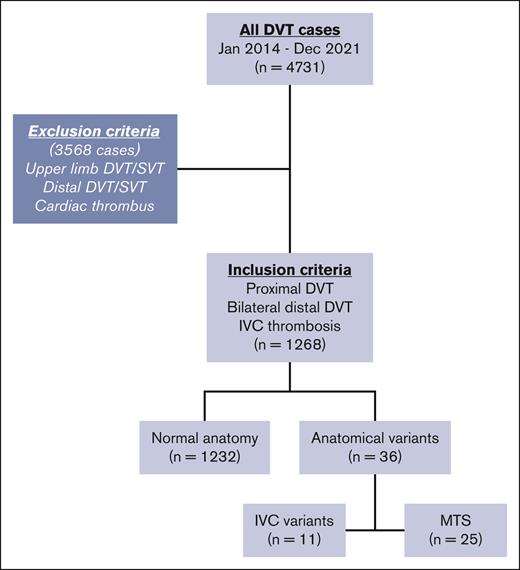 Flowchart of study population. IVC, inferior vena cava; SVT, superficial venous thrombosis.