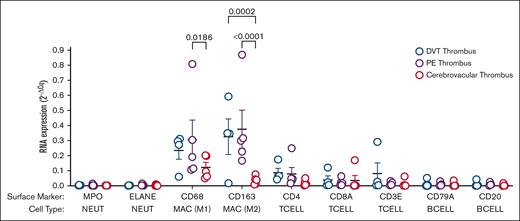 WBC population in thrombus from different vascular beds. RNA was extracted from the whole thrombus from different vascular beds. Gene expression (numerator) is shown relative to 2 housekeeping genes (actin and glyceraldehyde-3-phosphate dehydrogenase) (denominator) and reported as mean ± SEM. Differences between groups by 2-way analysis of variance (n = 4-5). BCELL, B Lymphocyte; Cq, cycle threshold; MAC, macrophage; MPO, myeloperoxidase; NEUT, neutrophil; TCELL, T lymphocyte.