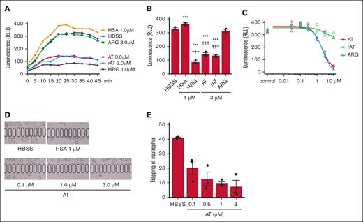 Effects of AT on neutrophil extracellular ROS production and microcapillary passage. Purified human neutrophils were incubated with different concentrations of HSA, HRG, AT, rAT, ARG, or HBSS at 37°C. Extracellular ROS production of neutrophils was determined using isoluminol and HRP. (A) Time-course changes in neutrophil extracellular ROS production after addition of each reagent. (B) The bar graphs show the neutrophil extracellular ROS production at 30 minutes under different conditions. ∗∗∗P < .001 vs HBSS, †††P < .001 vs HSA. (C) The concentration-response curves for the effects of AT, rAT, and ARG on the neutrophil extracellular ROS production assay. The purified human neutrophils were incubated with HSA, AT, or HBSS at 37°C for 60 minutes and then applied to a microchannel flow analyzer (MC-FAN). (D) The results showed an image of the microchannel at the passage of 100 μL. (E) The adhesive neutrophils that stayed inside the capillaries after 100-μL passage were counted. The results are the means ± SE of 3 wells for panels A-C or 3 determinations for panel E. RLU, relative light unit.