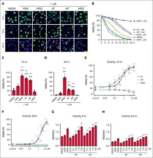 Effects of AT on the viability of neutrophils. The purified human neutrophils were labeled with calcein-AM (green) and Hoechst33342 (blue) as described in “Materials and methods.” The cell viability was evaluated by the retention of calcein-AM inside the cells. (A) The typical results at 0, 12, and 24 hours were shown under different conditions. (B) Time-dependent changes in neutrophil viability were determined under different conditions. (C-D) The bar graphs show the viability of neutrophils at 12 and 24 hours under different conditions. ∗∗∗P < .001 vs HBSS, †††P < .001 vs HSA. (E-F) Concentration-dependent effects of AT and rAT on neutrophil viability at 12 and 24 hours. The results are the means ± SE of 12 fields. ∗P < .05; ∗∗P < .01; ∗∗∗P < .001 vs control (HBSS). (G-H) The bar graphs show the viability of neutrophils using the WST-1 assay at 12 and 24 hours under different conditions. ∗∗P < .01; ∗∗∗P < .001 vs HBSS.