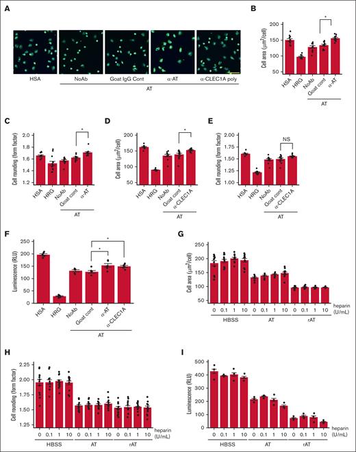 Effect of α-AT/α-CLEC1A Abs and heparin on AT-mediated neutrophil shape rounding and ROS production inhibition. We investigated whether the rounding of neutrophils in shape and spontaneous ROS production inhibitory effects of AT are altered by the addition of α-AT Ab, α-CLEC1A Ab (10 μg/mL), and heparin (0-10 U/mL) as described in “Materials and methods.” Experiments were conducted using HBSS, HSA 3.0 μM, HRG 1.0 μM, AT 3.0 μM, and rAT 3.0 μM as test reagents. (A) The image shows a neutrophil incubated with a test reagent and an Ab. (B-E) Cell area and form factor. (F) Extracellular ROS production in the presence or absence Ab. (G-H) Form factor and cell area. (I) Extracellular ROS production with heparin. All experiments were performed using purified human neutrophils. For panel A, original magnification, ×20; scale bar, 50 μm. The results shown are the means ± SE of 12 fields in panels B-E,G-H or 6 wells in panel F or 3 wells in panel I. ∗P < .05 vs goat control.