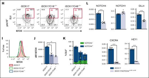 NOTCH4in28 is required for arterial specification. (A) Representative dot plots show impaired expression of arterial markers in D5 HE in generated from 2 NOTCH4Δin28−/Δin28− hPSC clones (C2–/– and C3–/–). (B-C) Graphs show the percentages VEC+ cells, and HE with arterial phenotype in D5 differentiation cultures, respectively (means ± SDs, n = 4 experiments); ∗∗∗∗P < .0001, 1-way ANOVA, Dunnett multiple comparisons test (B); and ∗P < .05 and ∗∗∗∗P < .0001, 2-way ANOVA, Tukey multiple comparisons test (C). (D) quantitative reverse transcription PCR (qRT-PCR) analysis compares the expression of indicated genes in D5 HE generated from WT and NOTCH4Δin28−/Δin28− hPSC clones. (E) Representative dot plots show impaired expression of arterial markers in D5 HE from DOX-treated cultures of differentiated iSOX17/NOTCH4Δin28−/Δin28− hPSC clones (iSOX17C18–/– and iSOX17C48–/–). (F-G) Graphs show the percentages of VEC+ cells and HE with arterial phenotype in D5 differentiation cultures treated with DOX; ∗∗∗P < .001, 2-way ANOVA, Tukey multiple comparisons test. (H) Representative dot plots and (I) histograms show flow cytometric analysis of NOTCH4 expression in D5-gated HE cells from iSOX17 hPSC with intact and deleted NOTCH4in28. (J) Mean fluorescence intensity of NOTCH4 expression in D5 HE. (K) Percentages of NOTCH4+ and NOTCH4– cells within DLL4+/− populations. (L) qRT-PCR analysis of NOTCH pathway-associated genes (HEY1, NOTCH4, NOTCH1, DLL4, and CXCR4) in D5 HE from DOX-treated culture (means ± SDs, n = 9 experiments); ∗∗∗∗P < .0001, t test. dMFI, delta mean fluorescence intensity; ns, not significant.