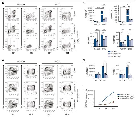 NOTCH4in28 deletion affects lymphoid potential of hPSCs. (A-B) Flow cytometric analysis of T-cell differentiation from WT and 2 NOTCH4Δin28−/Δin28− cell lines (C2–/– and C3–/–). Graphs show the total number of T cells generated from 1 × 104 D8 floating HPs and the percentages of CD5+CD7+ and CD4+CD8+ cells (means ± SDs, n = 6 experiments). ∗∗∗∗P < .0001, 1-way ANOVA, Tukey multiple comparisons test (total number of graphs) and ∗∗∗∗P < .0001, 1-way ANOVA, Dunnett multiple comparisons test (percentages of graphs). (C-D) Flow cytometric analysis of NK-cell differentiation from WT and 2 NOTCH4Δin28−/Δin28− cell lines (C2–/– and C3–/–). Graphs show the total number of CD56+ cells generated from 1 × 104 D8 floating HPs and the percentages of CD56 by NK cells (means ± SDs, n = 4 experiments). ∗∗∗∗P < .0001, 1-way ANOVA, Dunnett multiple comparisons test. (E) Representative dot plots show T-cell differentiation from iSOX17 hPSCs with intact (iSOX17) and deleted NOTCH4in28 (NOTCH4Δin28−/Δin28−; iSOX17C18–/– and iSOX17C48–/– cells). (F) Graphs show the total number of T cells generated from 1 × 104 D8 floating HPs and the percentages of CD5+CD7+ and CD4+CD8+ cells (means ± SDs, n = 4 experiments). ∗∗P < .01 and ∗∗∗∗P < .0001, 2-way ANOVA, Sidak multiple comparisons test. (G) Representative dot plots show NK-cell differentiation from iSOX17 hPSC with intact (iSOX17) and deleted NOTCH4in28 (NOTCH4Δin28−/Δin28−; iSOX17C18–/– and iSOX17C48–/– cells). (H) Graphs show the percentages and total number of CD56+ cells generated from 1 × 104 D8 floating HPs (means ± SDs, n = 4 experiments). ∗∗∗∗P < .0001, 1-way ANOVA, Sidak multiple comparisons test. (I) Growth curve of CD56+ cells in NK-cell differentiation cultures initiated from 1 × 104 of D8 CD43+ cells. D8 CD43+ cells were generated from DOX-treated iSOX17 hPSCs with intact and deleted NOTCH4in28 and cultured in NK-cell conditions for 3 weeks (means ± SDs, n = 4 experiments). ∗∗∗∗P < .0001, 2-way ANOVA, Tukey multiple comparisons test. ns, not significant.