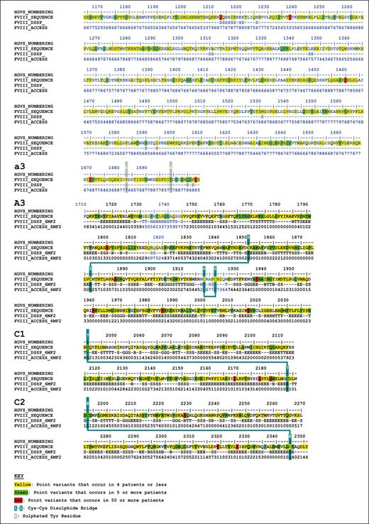 Secondary structure and accessibility analysis of variants occurring in the FVIII protein. The FVIII amino acid sequence is shown with secondary structure assignments and solvent accessibilities indicated below each residue. Secondary structures are assigned as H (α-helix), B (β-bridge), E (extended β-strand), G (310 helix), I (π-helix), T (hydrogen-bonded turn), S (bend), or C (undefined coil region). These were determined from the FVIII crystal structure when the residues were visible and present (PDB ID 6MF2). Sequences within this crystal structure are shown in black, and sequences without a crystal structure are shown in blue. For the latter, secondary structure and solvent accessibility predictions were made based on the modeled FVIII AlphaFold structure. The positions of 4243-point variants that occur in the F8 exons are highlighted in yellow, green, and red. These include point missense, point nonsense, and point silent variants. Yellow denotes point variants that occur in ≤4 patients, green denotes point variants that occur in ≥5 patients, and red denotes point variants that occur in >50 patients. Posttranscriptional modifications are shown. These include 25 putative N-glycan sites (highlighted in cyan), 8 numbered Cys-Cys disulfide bridges (highlighted in blue), and 6 sulfated numbered Tyr residues (highlighted in gray).