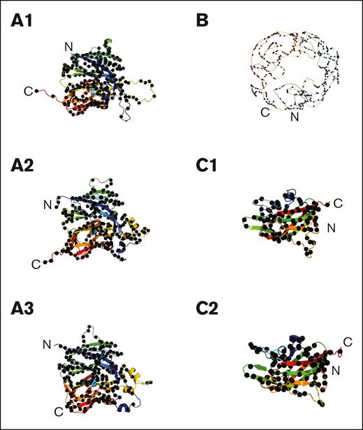 The 6 individual FVIII domain structures and their 2863 missense variants. The 6 structures were taken from the AlphaFold prediction. All 6 regions are shown as ribbon diagrams in rainbow colors from the N terminus (blue) to the C terminus (red). The structurally similar A1, A2, and A3 domains are shown with their secondary structure ribbons depicted in the same orientations and, similarly, the structurally similar C1 and C2 domains. The black spheres denote the missense mutations in each domain (A1, 629 variants; A2, 621 variants; A3, 537 variants; B, 483 variants; C1, 241 variants; C2, 235 variants). These variants total 2746, and the remaining 117 variants occur in the a1 linker (29 variants), the a2 linker (19 variants), the a3 linker (39 variants) and the signal peptide (29 variants). A further 1 variant was reported without information on its location. Note that the modeled structure of the B domain was predicted from AlphaFold with very low confidence and should not be overinterpreted to assume it actually surrounds the A and C domains as pictured.