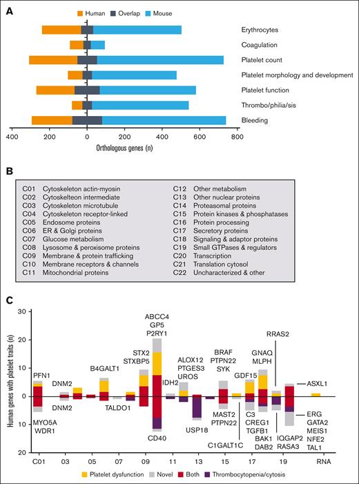 Human and mouse genes linked to hemostasis or platelet-related phenotypes. (A) Numbers are shown of phenotyped orthologous human and mouse genes with scores for bleeding, thrombophilia (arterial thrombosis for mice), platelet function/morphology/count, coagulation (including fibrinolysis), and erythrocyte characteristics. (B) Classification scheme used for protein localization and function (classes C01-C22). (C) Human genes linked to bleeding and platelet traits per class. Colored bars indicate reference genes linked to platelet function (orange), thrombocytopenia (black) or both (brown). Gray boxes represent novel genes (names indicated); for phenotypic descriptions and data sources, see supplemental Table 13.