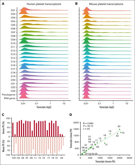 Distribution profiles of orthologous transcripts in human and mouse platelets per function class. Quantified transcripts in human platelets (n = 54 790) and mouse platelets (n = 54 247) were assigned to 23 protein function classes, RNA genes, or pseudogenes. Histograms are given per class (100%) of mean fpkm/rpkm values (log2+1) for human platelets (A) and mouse platelets (B). (C) Percentage fractions of relevant transcripts (>0.03) per class (total 100%). (D) Correlation of relevant transcripts per class between human and mouse platelets. Plt, platelet.