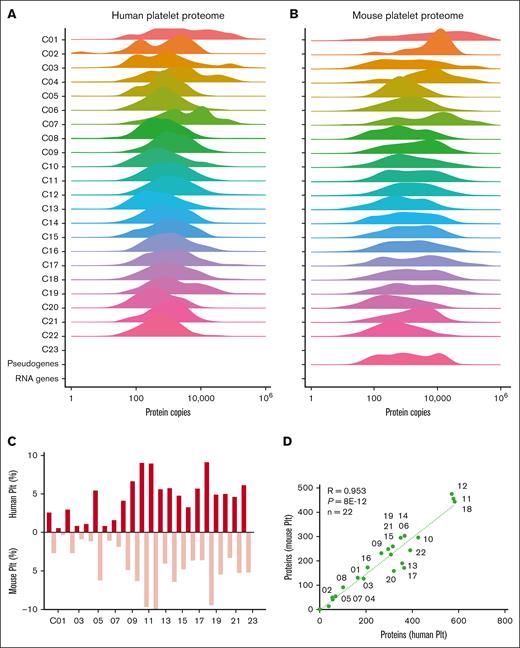 Distribution profiles of orthologous platelet proteins in human and mouse platelets per function class. Quantified proteins in human platelets (n = 6379) and mouse platelets (n = 4684) were assigned to 23 protein function classes. Histograms are given per class (100%) of mean copy numbers for human platelets (A) and mouse platelets (B). (C) Percentage fractions of identified proteins per class (total 100%). (D) Correlation of identified proteins per class between human and mouse platelets. Plt, platelet.