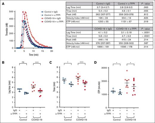 TFPI prolongs the initiation of thrombin generation in plasma from patients with COVID-19. PFP from controls (n = 5) or patients with COVID-19 (n = 8) were first treated with heparinase and then incubated with either a neutralizing anti-TFPI antibody or control immunoglobulin G (IgG) for 30 minutes before triggering thrombin generation with TF and phospholipids. (A) Representative thrombin generation curves are presented, and the table shows comparisons of thrombin generation parameters between paired samples treated with anti-TFPI antibody vs control IgG. (B-D) Individual data points for lag time (B), Tmax (C), and ETP (D) are presented as mean ± standard error for all except the lag time for controls are presented as median (interquartile range). Data presented as mean ± standard error were analyzed using the paired t test, and those with median (interquartile range) were analyzed using the Wilcoxon matched-pairs signed-rank test. ns, P > .05; ∗P < .05; ∗∗∗∗P < .0001. ns, not significant.