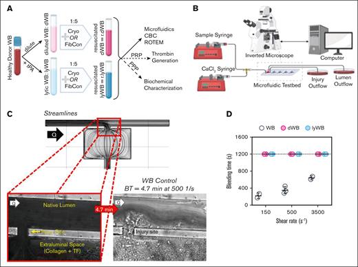 Coagulopathic resuscitation model establishment in vitro. (A) Schematics of coagulopathy induction and resuscitation, and subsequent workflow. WB was diluted 3:7 with normal saline to induce dilutional coagulopathy (dWB) or was dosed with 75 ng/mL tPA to induce hyperfibrinolytic coagulopathy (lyWB). Cryo or FibCon was mixed 1:5 with dWB and lyWB, providing resuscitation and yielding r:dWB and r:lyWB, respectively. (B) Microfluidic assay setup schematic. Sample syringe containing resuscitated coagulopathies (rCryo:dWB, rCryo:lyWB, rFibCon:dWB, rFibCon:lyWB) was perfused via syringe pump for constant flow rate perfusion through the microfluidic flow chamber, and chambers were imaged in real time using an inverted fluorescent microscope. Images in panels A and B were created by K.A.T. and S.M.S. using BioRender.com. (C) Computational fluid dynamics simulation yielding flow streamlines through the microfluidic chamber (top). Representative phase images (bottom left) from a WB control at 500 s−1 that resulted in a BT of 4.7 minutes (bottom right). (D) BTs of dWB and lyWB upon perfusion through the microfluidic model of bleeding; assay cutoff of 1200 seconds determined by a quadrupling of the mean of WB controls. Data are reported as mean (standard deviation). N = 2 to 3. PRP, platelet-rich plasma; PPP, platelet-poor plasma; Q, flow; TF, tissue factor; tPA, tissue plasminogen activator.