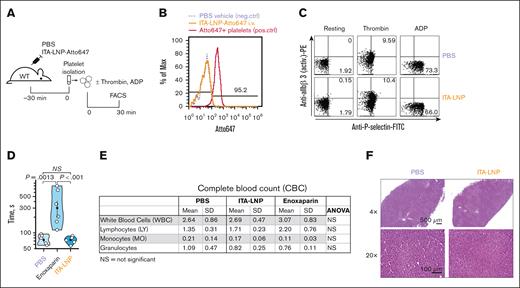 Hemostatic and liver safety of ITA-LNPs. (A) Schematic of experiments testing ITA-LNP actions on platelets. (B) FACS histograms examining accumulation of ITA-LNPs in platelets after bolus injection in panel A. (C) FACS-based platelet activation assays in isolated platelets from experiments in panel A. (D) Bleeding assays in C57BL/6 mice after daily injections of ITA-LNPs (50 mg/kg), 100 μL PBS, or enoxaparin (1 mg/kg) for a total duration of 3 days. (E) Complete blood counts from blood samples obtained in panel D. (F) Hematoxylin and eosin staining in liver sections from C57BL/6 mice used in panel D. The images were taken at different magnification powers as indicated. active. PE, phosphatidylethanolamine; ANOVA, analysis of variance; ADP, adenosine 5′-diphosphate; FITC, fluorescein isothiocyanate; Max, maximum; neg., negative; NS, not significant; PBS, phosphate-buffered saline; pos., positive; SD, standard deviation; WT, wild type.