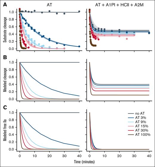 Thrombin inhibition without or with other plasma inhibitors. (A) Thrombin (4 nM) was incubated either with the indicated concentration of AT (expressed as a percentage of the plasma concentration of 3500 nM) or with the indicated concentration of AT plus plasma concentrations of A1PI, HCII, and A2M. At time points residual thrombin was measured by addition of a thrombin substrate. The rate of thrombin inhibition was calculated from a decay curve fit to the data. As expected, the thrombin-A2M complex retains some ability to cleave substrate. The shaded area indicates the 95% confidence interval of the fit to the data. (B) Substrate cleavage during thrombin inhibition was modeled as a series of ordinary differential equations (equation 3) using the rate constants determined in Figure 1. The model showed good correlation with the experimental data. (C) The model of substrate cleavage includes the contribution of thrombin bound to A2M. Because the IIa-A2M complex is functionally inactive in coagulation, the contribution of IIa-A2M was removed to give a model of residual free thrombin as a function of time (ie, thrombin not bound to an inhibitor). As expected, in the model with only AT, there was no effect of IIa-A2M.
