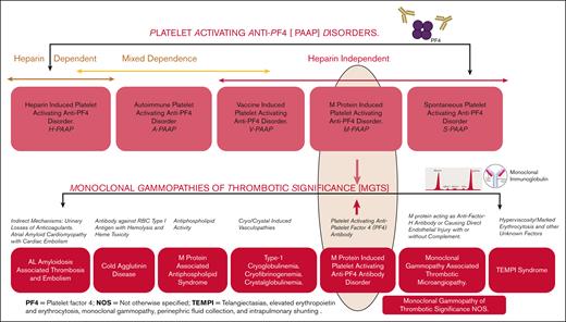 Proposed pathophysiology and nomenclature-based classification of platelet-activating anti-PF4 disorders and MGTS and their linkage.