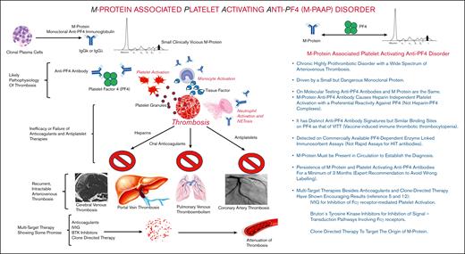 M protein–associated platelet-activating anti-PF4 disorder pathophysiology and clinical characteristics. BTK, Bruton tyrosine kinase; Ig, immunoglobulin; IVIG, IV immunoglobulin.