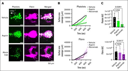 Inhibition of thrombus formation by inhibitory antiplatelet antibody 7E3 (abciximab) but not by low dose aspirin in the Endo-chip laser-injury model. (A) Blood was incubated with vehicle, aspirin (9 μg/mL), or abciximab (20 μg/mL) for 1 hour at RT. Blood was then labeled with anti-CD41 antibody and antifibrin antibody, recalcified with CaCl2 (10 mM), and then immediately perfused through the Endo-chip at 100 s–1, followed by laser injury to the endothelial layer. Representative images of platelet (CD41, green) and fibrin (magenta) accumulation at the injury site at 10 minutes. (B) Kinetics of platelet (upper panel) and fibrin (lower panel) surface area coverage over time. (C) Platelet (upper panel) and fibrin (lower panel) AUC after treatment of blood with vehicle, aspirin, or abciximab. Mean ± SD, n = 3 to 5, 1-way analysis of variance with Dunnett’s multiple comparisons test. AUC, area under the curve.