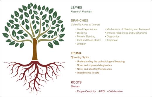 Visualization of the BDRC priority-setting model. Rooted in the foundational themes of people centricity, HEDI, and collaboration, this tree structure maps the development from spanning research topics and scientific areas of interest established through the SOS to a rich canopy of community-driven research priorities established through the NRB phase. Main branches reflect broad spanning topics, whereas smaller branches denote scientific areas of interest. The leaves symbolize specific research priorities developed and refined through NRB WGs. A leaf may be taken from the tree to create a specific research project.