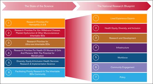 The evolution of the WGs from the SOS to the NRB. This figure illustrates the transition of key research priorities identified during the SOS process into the strategic pillars of the NRB. The left side of the figure outlines the 6 WGs established during the SOS. The right side depicts the 7 WGs of the NRB that generated the overarching research themes, which together demonstrate how the initial research priorities have informed and broadened into a comprehensive national agenda for BD research.