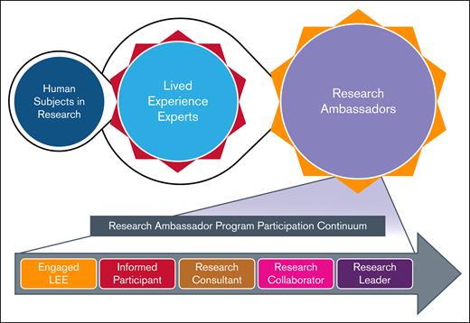 The evolution of LEE involvement in the BDRC and the RA program participation continuum. This figure illustrates the progression of individuals from being human subjects in research to engagement as LEEs, for their expertise in living with a BD, and subsequently participating as RAs. The top portion depicts this evolution, highlighting the transition and central role of LEEs. The bottom portion presents the RA program participation continuum, showcasing the increasing levels of engagement and leadership roles that trained LEEs can assume, ranging from engaged LEE and informed participant to research consultant, research collaborator, and ultimately research leader. Broad viewpoints and perspective will be welcomed among the LEEs that participate in the BDRC. Those selected for the RA Program will need to be highly motivated and have ample time to commit to the project.