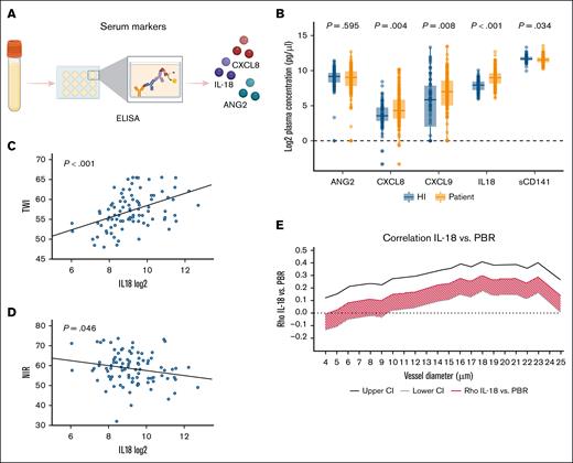 Serum cytokines in HIs and patients, and correlation with GlycoCheck and Tivita. (A) Cytokine levels were measured from frozen serum samples using R&D DuoSet ELISA kits. (B) Box plots comparing serum levels of endothelial-associated cytokines between HIs and patients, with Kruskal-Wallis tests used for statistical analysis (P values shown). Markers analyzed include ANG2 (n = 238); CXCL8 (n = 242); CXCL9 (n = 242), IL-18 (n = 239); and sCD141 (n = 242). (C-D) Linear regression analyses of IL-18 with Tivita parameters. (C) Positive correlation with TWI; (D) negative correlation with NIR; (E) Spearman ρ correlation analysis between IL-18 and GlycoCheck PBR. Correlation coefficients (red line) with 95% CIs (gray and black lines) are shown for each VD between 4 and 25 μm. A correlation was considered significant if the entire CI lay on 1 side of the y-axis. ELISA, enzyme-linked immunosorbent assay.