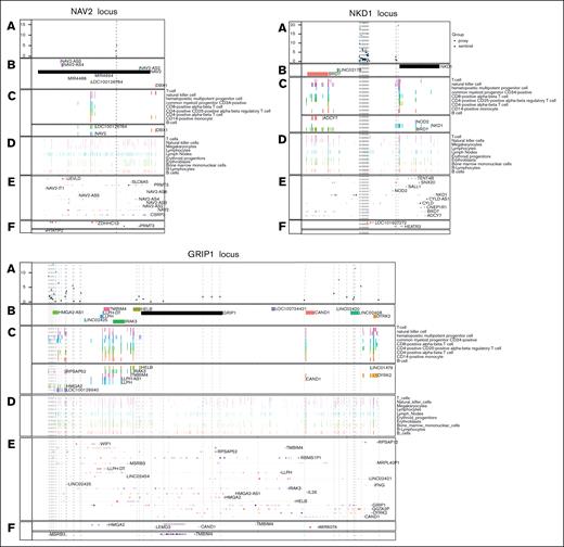 Genomic landscape of the NAV2, NKD1, GRIP1, and NKD1 loci with regulatory and functional annotations. This figure presents a multilayered visualization of genomic features at the NAV2 (top left), NKD1 (top right), and GRIP1 (bottom) loci, integrating data from various regulatory and functional data sets. Dashed vertical lines mark variant genomic positions, providing a reference for overlapping regulatory and functional elements. (A) Variants and CADD score; displays the genetic sentinel variant (triangle) and its proxies (dots) mapped to the region, along with their Combined Annotation Dependent Depletion (CADD) scores indicating potential functional impact. (B) RefSeq genes; annotated gene models from the RefSeq database. (C) Predicted regulatory regions; regulatory elements predicted in relevant cell types using the ABC_rE2G model (score ≥ 0.5), which links regulatory regions to target genes.11 (D) Chromatin immunoprecipitation-Atlas–Assay for Transposable-Accessible Chromatin (ATAC)-seq tracks; open chromatin regions identified across multiple blood-derived cell types, highlighting accessible regulatory regions. (E) GTEx expression21; expression QTLs (eQTLs) from the GTEx database across all available tissues and cell types (q ≤ 0.05), in which colors represent the direction and magnitude of the effect (red, positive; blue, negative). (F) Kammers et al22; eQTLs identified in megakaryocytes and platelets, linking genetic variants to gene expression changes.