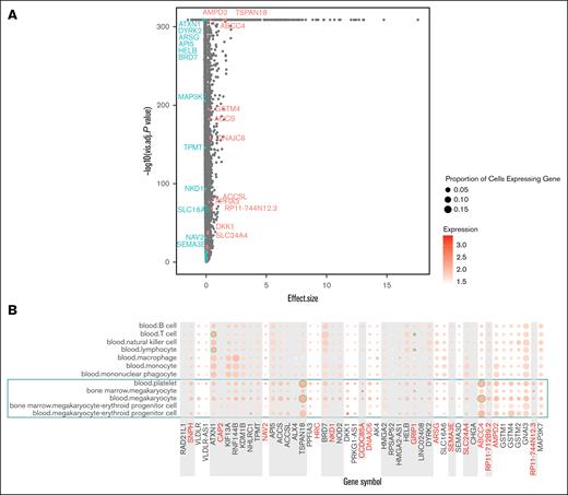 scRNA-seq data in Tabula Sapiens database for the genes of interest. (A) Volcano plot of differentially expressed genes. We compared platelet and megakaryocyte clusters (n = 58 662 cells) with lymphocytes (n = 11 854 143 cells) using Tabula Sapiens differential expression tool (t test). Among 55 512 genes, 34 291 are significantly differentially expressed (adjusted P ≤ .001). We show the genes that are overexpressed in platelets/megakaryocytes in red (positive effect) and the genes that are overexpressed in lymphocytes in blue (negative effect). We show the name of the significantly differentially expressed genes associated with the sentinel and/or the proxies in at least 1 annotation tool used. (B) Expression of each gene of interest in different cell clusters in blood or bone marrow. Genes are organized by locus. We selected clusters with >500 cells, and in which at least one of our genes shows a scaled expression >0.2 in >10% of cells. Color represents the scaled expression, and the size of the dots represents the proportion of expressing cells. We highlighted platelets and megakaryocytes in blue box. We also highlighted with a green circle the clusters in which expression is >2 in at least 500 cells.