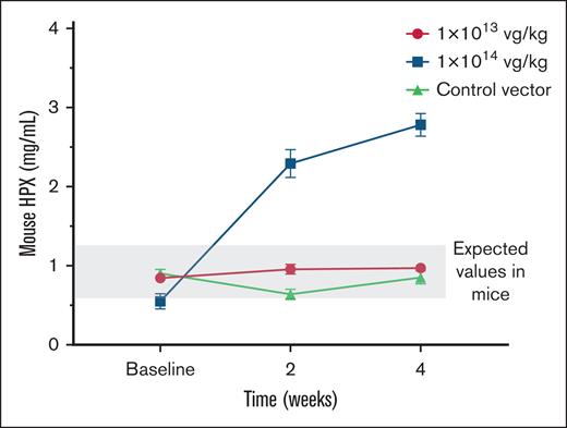 Plasma levels of murine HPX at baseline, and 2 and 4 weeks of C57BL/6J mice transduced with the rAAV8-mHPX vector or control vector (n = 3-4 per group). The dotted band indicates the normal mHPX values found in C57BL/6J mice. One-way analysis of variance test.