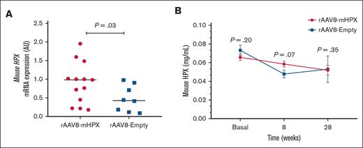 mHPX levels in Townes mice transduced with the rAAV8-mHPX vector. (A) mRNA expression of mHPX in liver samples of mice transduced with 1 × 1014 vg/kg rAAV8-mHPX vector (n = 8 to 13 per group). (B) mHPX levels in mouse plasma before vector infusion (basal), 8 and 28 weeks after infusion with 1 × 1014 vg/kg rAAV8-mHPX vector (n = 9 to 14 per group). The results are presented as median and mean ± standard error of the mean (SEM) and P values are from the Mann-Whitney U test. AU, arbitrary unit.