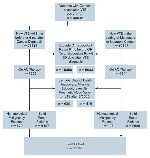 Flow diagram of cohort. Rx, prescription; w/i, within.
