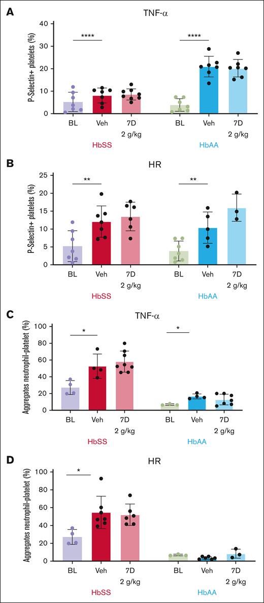 Effect of R788 on agonist-induced platelet surface P-selectin expression and circulating PNA. Bar graphs showing the percentage of P-selectin–positive platelets in whole blood at baseline and induced by either TNF-α (A) or HR (B) in vehicle- and R788-treated (2 g/kg dose for 7 days) HbSS and HbAA mice. Bar graphs showing the percentage of circulating PNA induced by either TNF-α (C) or by HR (D) in HbSS and HbAA mice, and the effect of R788 treatment at 2 g/kg for 7 days. Data are presented as mean ± SD, with each data point representing a single animal. Treatment groups were compared with the vehicle group using a 2-way ANOVA, with FDR correction for multiple comparisons. Significance levels: ∗P < .05; ∗∗P < .01; ∗∗∗P < .001; ∗∗∗∗P < .0001. HbSS, red; HbAA, blue. BL, baseline; Veh, vehicle-treated.
