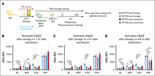 Change of transfused platelet function in UbiC-GFP mice with normal platelet counts. Murine WT platelets were stored for 24 hours as CSPs or RTPs and tested at baseline (separate experiment) and after transfusion into UbiC-GFP mice (separate experiment) to allow for the identification of transfused and endogenous platelets. (A) Outline of experiments. (B) Platelet function after RTP (white bar with red outline, individual data points as black circles) or CSP (white bars with blue outline, individual data points as black squares) storage and 1 hour after RTP (solid red bars, individual data points as black circles) or CSP transfusion (solid blue bars, individual data points as black triangles). Same groups as in panel B but 4 hours (C) and 24 hours (D) after transfusion. Bar graphs show individual data points and indicate mean ± standard error of the mean (SEM, n = 4-6). ∗P ≤ .05; ∗∗P ≤ .01; ∗∗∗P ≤ .001. Statistical analysis using 1-way ANOVA, with Tukey correction for multiple comparisons between groups. BL, baseline; MFI, mean fluorescence intensity; PLT, platelet.