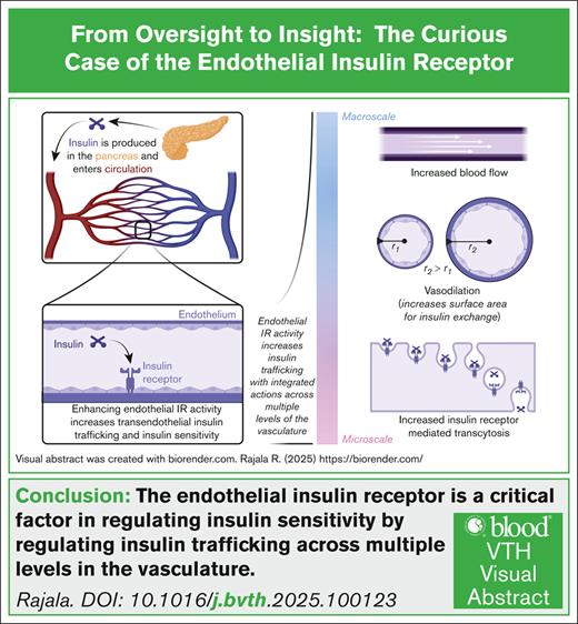 Visual abstract was created with biorender.com. Rajala R. (2025) https://biorender.com/