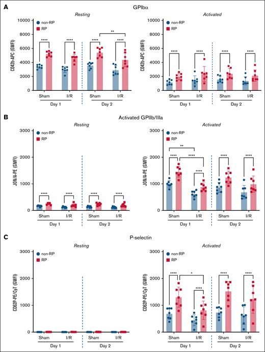 RP display higher surface receptor expression and enhanced agonist responsiveness compared to non-RP, with altered phenotype after I/R injury. Flow-cytometric analysis was performed on whole blood from Pf4-Cre:RiboTag mice 1 and 2 days after sham or myocardial I/R injury. (A) Surface expression of GPIbα (CD42b) was significantly higher in RiboTag-RP compared to non-RP under all conditions. RiboTag-RP retained significantly elevated levels at rest and after PAR-4 agonist stimulation. (B) GPIIb/IIIa activation (JON/A binding) was significantly greater in RiboTag-RP vs non-RP in both sham and I/R groups, although overall activation was modestly reduced after I/R injury. (C) Surface P-selectin (CD62P) expression was negligible at rest and markedly increased after PAR-4 stimulation, with RiboTag-RP consistently showing higher levels than non-RP. Data represent GMFI ± SD (n = 7). Statistical testing: 1-way ANOVA with Bonferroni post hoc test. ∗P < .05; ∗∗P < .01; ∗∗∗∗P < .0001.
