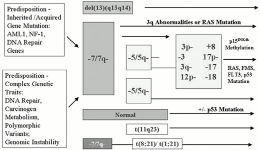 Figure 1. Proposed model for genetic progression of MDS to AML.