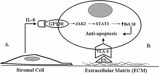 Figure 1. Two different forms of tumor-microenvironment interactions influence drug response in cancer. . / A. Soluble form of tumor-microvenvironment interaction (IL-6). . / B. Direct contact form of tumor-microvenvironment interaction (ECM).