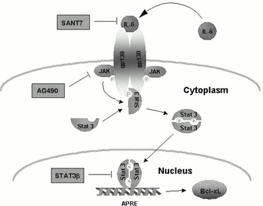 Figure 2. Constitutive activation of STAT3 prevents apoptosis in human myeloma cells. From Dalton and Jove. Immunity, 1999.21