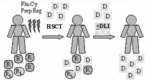 Figure 2. Nonablative hematopoietic stem cell transplant (HSCT) for low-grade lymphoma. . / Abbreviations: D, donor cells; DLI, donor lymphocyte infusions; R, normal host cells; RL, lymphoma cells; Flu-Cy Prep Reg, fludarabine-cyclophosphamide preparative regimen
