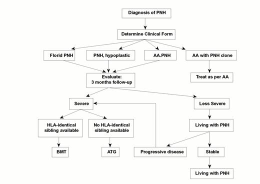 Figure 5. Guidelines for the management of PNH. . / This algorithm40 is based on the consideration that patients with this condition vary considerably (a) in terms of clinical severity, and (b) in terms of the contributions of the PNH clone and of bone marrow failure (BMF) respectively to determining the overall clinical picture. Some patients have been cured by bone marrow transplantation (BMT); at the other end of the spectrum, some of the patients who for a long time have been `living with PNH'—by choice or otherwise—have eventually experienced spontaneous recovery.4