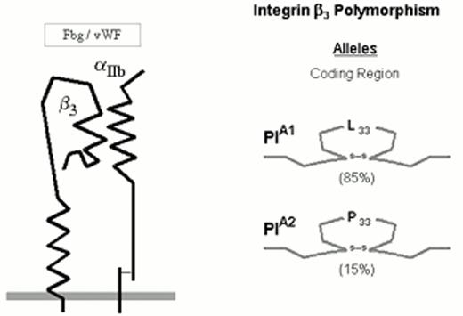 Figure 2. Integrin αIIbβ3.