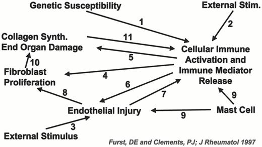 Figure 4. Proposed pathogenesis of systemic sclerosis involving 11 potential pathways. 20