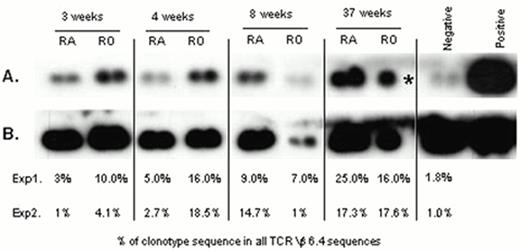Figure 2. Quantitation of an individual CMV peptide-specific CTL clone within CD45RAhigh and CD45ROhigh CD8+ T-cell subpopulations derived from PBMC of a donor during and after primary CMV infection. . / (A) Duplicate TCR Vβ6.4 PCR products were amplified from each of the T cell populations taken at 3, 4, 8 and 37 weeks after onset of symptoms. PCR product derived from the biological pp65 peptide 56-specific clone (positive control) and pooled PCR product derived from PBMC of four CMV seronegative donors (negative control) were probed with a radio-labelled clonotypic probe. (B) The filter was stripped of bound clonotypic probe and re-probed with a radiolabelled probe specific to the TCR constant region. For each sub-population, the clonotype sequence as a % of all TCR Vβ6.4+ sequences is shown for 2 independent amplifications and probing experiments, % in bold are derived from the gel shown (* duplicate PCR sample failed).
