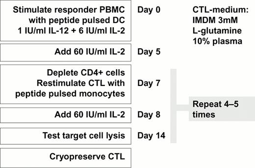 Figure 3. Generation of mHag-specific CTLs.