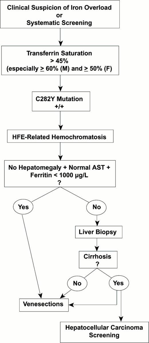 Figure 1. Strategy for the diagnosis of hereditary hemochromatosis. . / Abbreviations: M, male; F, female; AST, aspartate aminotransferase