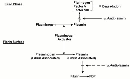 Figure 2. Molecular interactions determining the fibrin-specificity of plasminogen activators. / Non-fibrin-specific plasminogen activators (streptokinase, two chain urokinase, anisoylated plasminogen-streptokinase activator complex or anistreplase) activate both plasminogen in the fluid phase and fibrin-associated plasminogen. Fibrin-specific plasminogen activators (t-PA, scu-PA and staphylokinase) preferentially activate fibrin-associated plasminogen