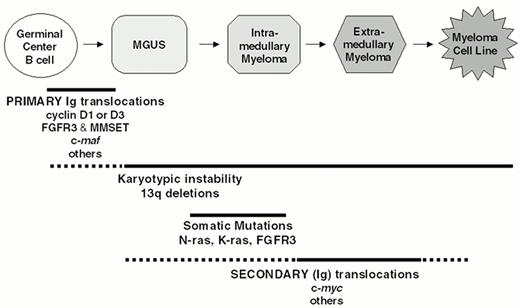 Figure 2. Multi-step molecular pathogenesis of multiple myeloma. A minimum number of intermediates in the MM pathogenesis pathway are depicted. The approximate timing of some specific oncogenic events is indicated by horizontal lines, with solid lines indicating the most likely time during which these events occur. See text for additional details.