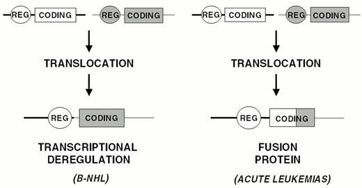 Figure 6. Models of chromosomal translocations in non-Hodgkin's lymphoma (NHL).