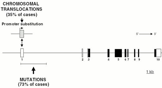 Figure 7. Chromosomal translocations and somatic hypermutation of the BCL-6 5′ noncoding region in diffuse large B cell lymphoma (DLBCL).